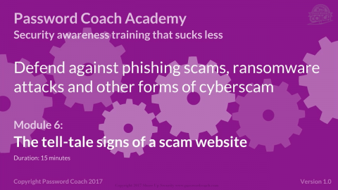 Module 6 The Tell Tale Signs Of A Scam Website P101 6