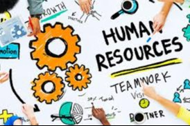 នាយកដ្ឋានធនធានមនុស្ស (HR102)