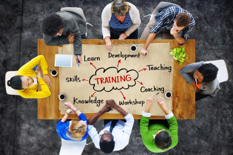 ការបណ្តុះបណ្តាល និងការអភិវឌ្ឍ (HR105)