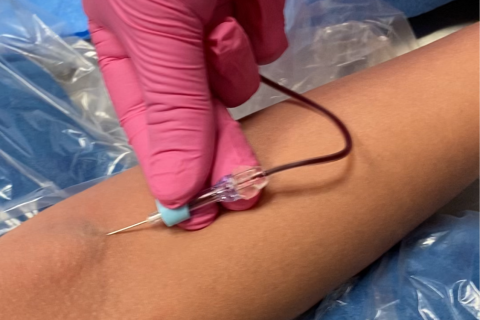 Advanced Phlebotomy Online Training Course
