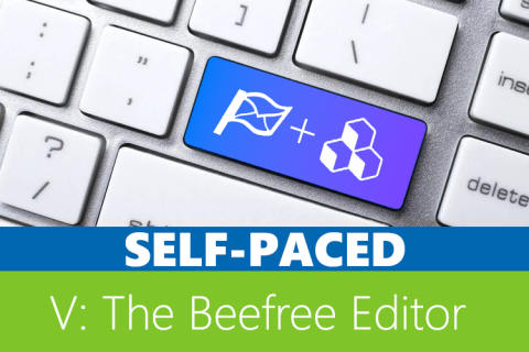 V: Using the Beefree Editor (AA5)
