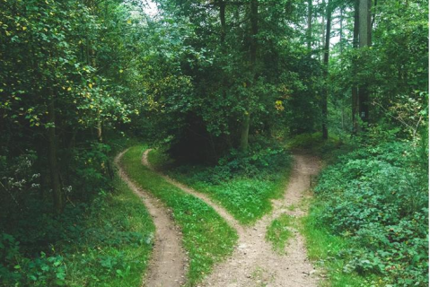 Improving Decision-Making