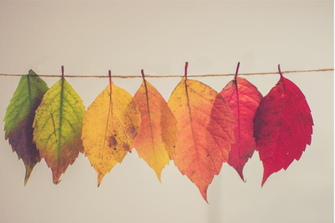 Overcoming Barriers to Change