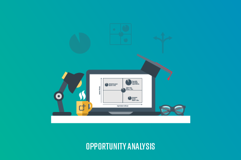 Opportunity Analysis module (CM19 module)