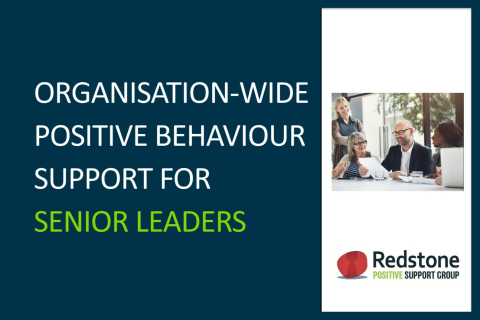 Organisation-Wide PBS for Senior Leaders. Free