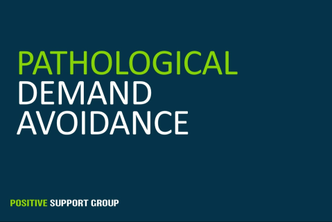 Pathological Demand Avoidance
