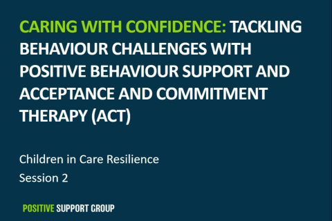 Children In Care Training Session 2