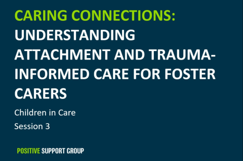 Childen In Care Training: Session 3