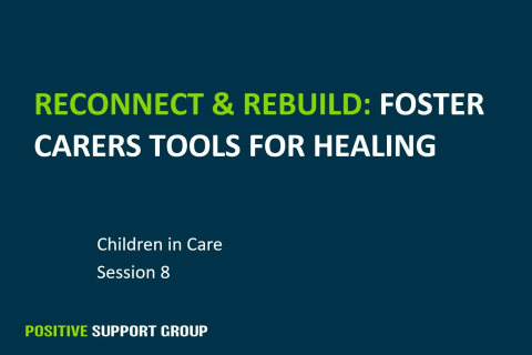 Children in Care Training : Session 8