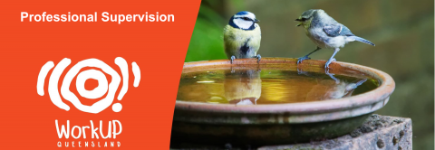 Professional Supervision