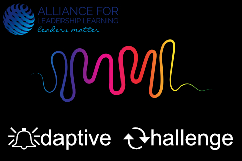 Adaptive Challenge 2022