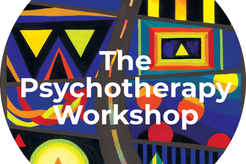 Dr Paul Gibney practice assistant (PGAI)