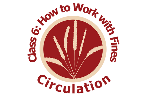Circulation, Class 6: How to Work with Fines (CS006)