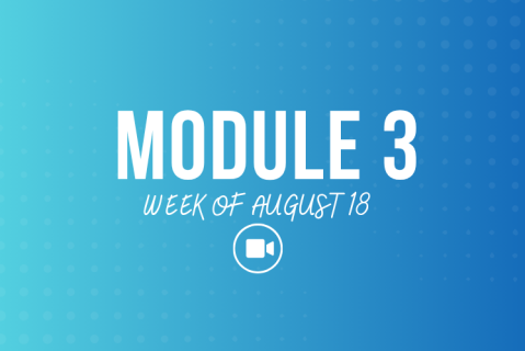 Module 3