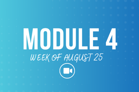 Module 4