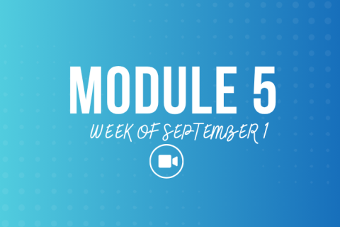 Module 5