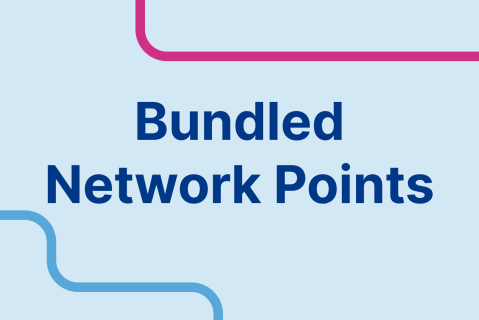 Bundled Network Points