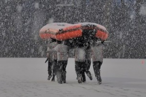 The Program Book Curriculum