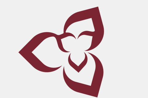 PTSI Prevention in Public Safety Organizations (LICWBAEN0525)