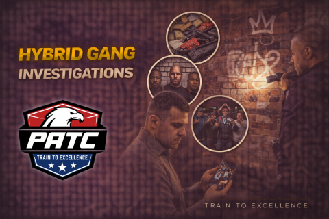 Hybrid Gang Investigations