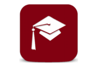 AI Prompt Engineering (AI100)