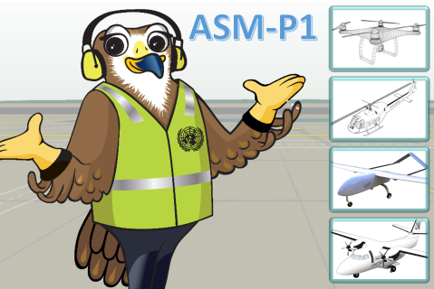 UN DOS Aviation Safety Management - Part I (AvTC-07-P1)