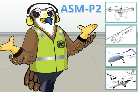 UN DOS Aviation Safety Management - Part II (AvTC-07-P2)