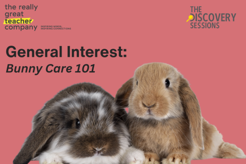 Bunny Care 101