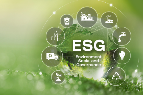 Environmental, Social, Governance 2025