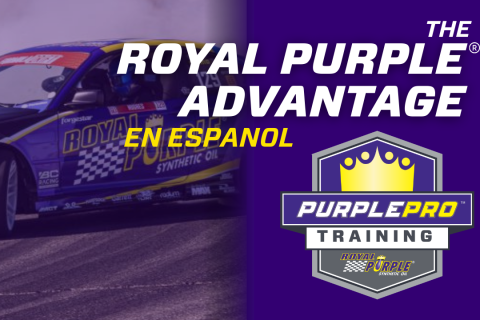 ESPANOL:  The Royal Purple® Advantage (RPS01)