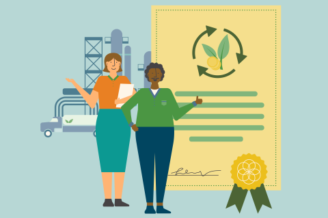 RSB Procedures for Certification Bodies and Auditors