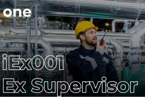 iEx0001 - Ex Supervisor (RF10)