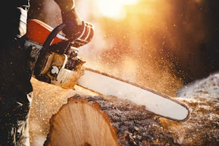 Hand and Power Tools: Chainsaw Safety