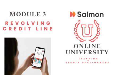 Module C: Revolving Credit Line
