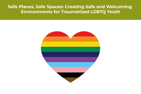Safe Places, Safe Spaces: Creating Safe and Welcoming Environments for Traumatized LGBTQ Youth [1.5]