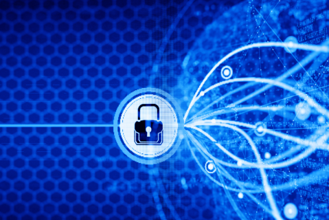 The Danger of Viruses and Malware (CS002)