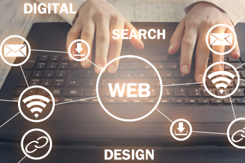 Web Design Basics (DFE01)
