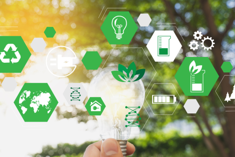 Sustainability and Innovation (ES002)