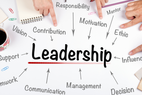 The Four Types Of Leader (LE001)