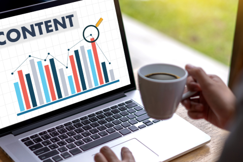 Content Management Systems (MSM06)