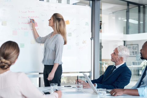 Organizing and Motivating a Team (PMA04)