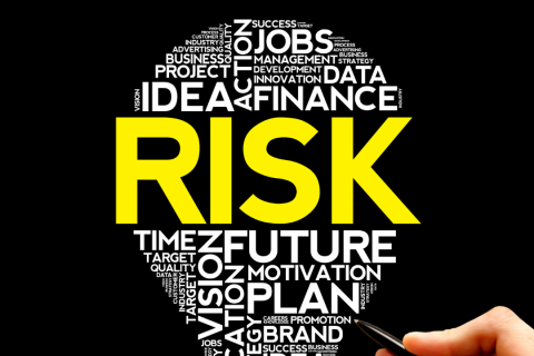 Embracing Risk and Uncertainty (RU001)