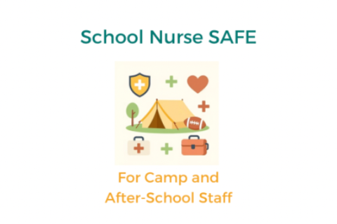 Camp and after school - lice