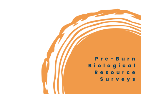 1. Pre-Burn Biological Resource Surveys (FIRE1)