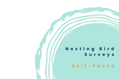 Nesting Bird Surveys (Self-Paced) (NBSSP)