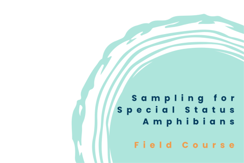 (May 30, 2026) Field Sampling for Special Status Amphibians (FSSSA)
