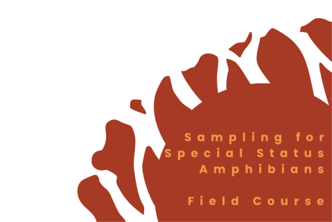 (May 31, 2026) Field Sampling for Special Status Amphibians (SU-FSSSA)