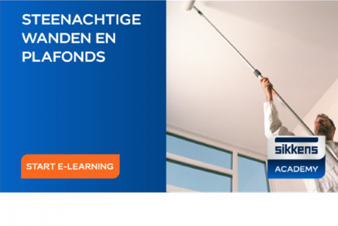 De binnenklus - Steenachtig wanden en plafonds (ESS)