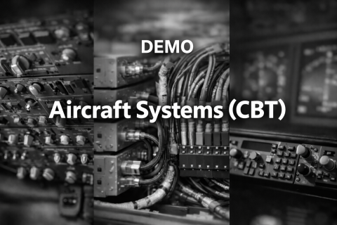 Demo CBT - B767 200/300SF (CBT_B7672/3SF_Demo)