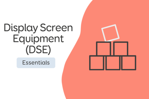 Display Screen Equipment (DSE) (DSE01)
